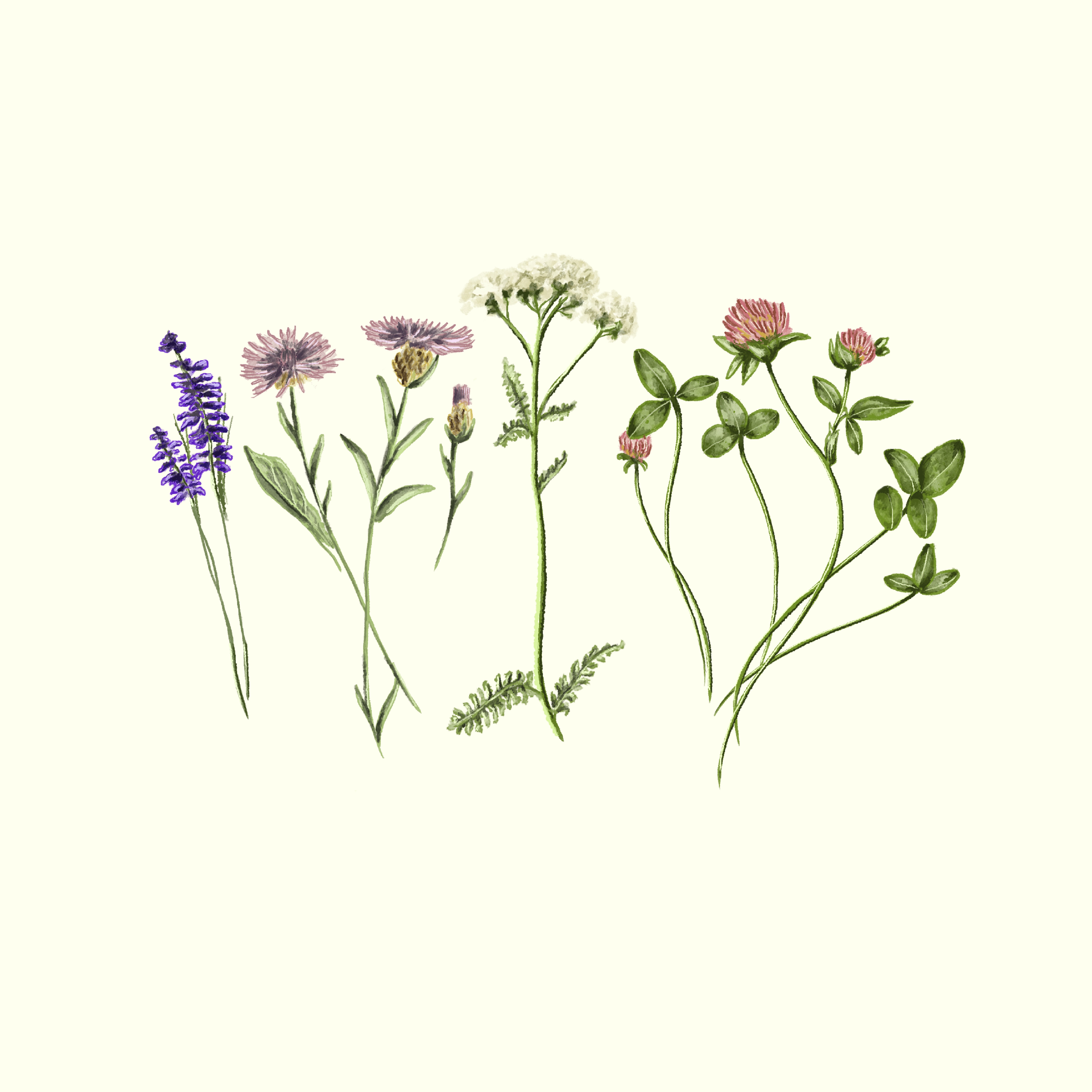 marken page background